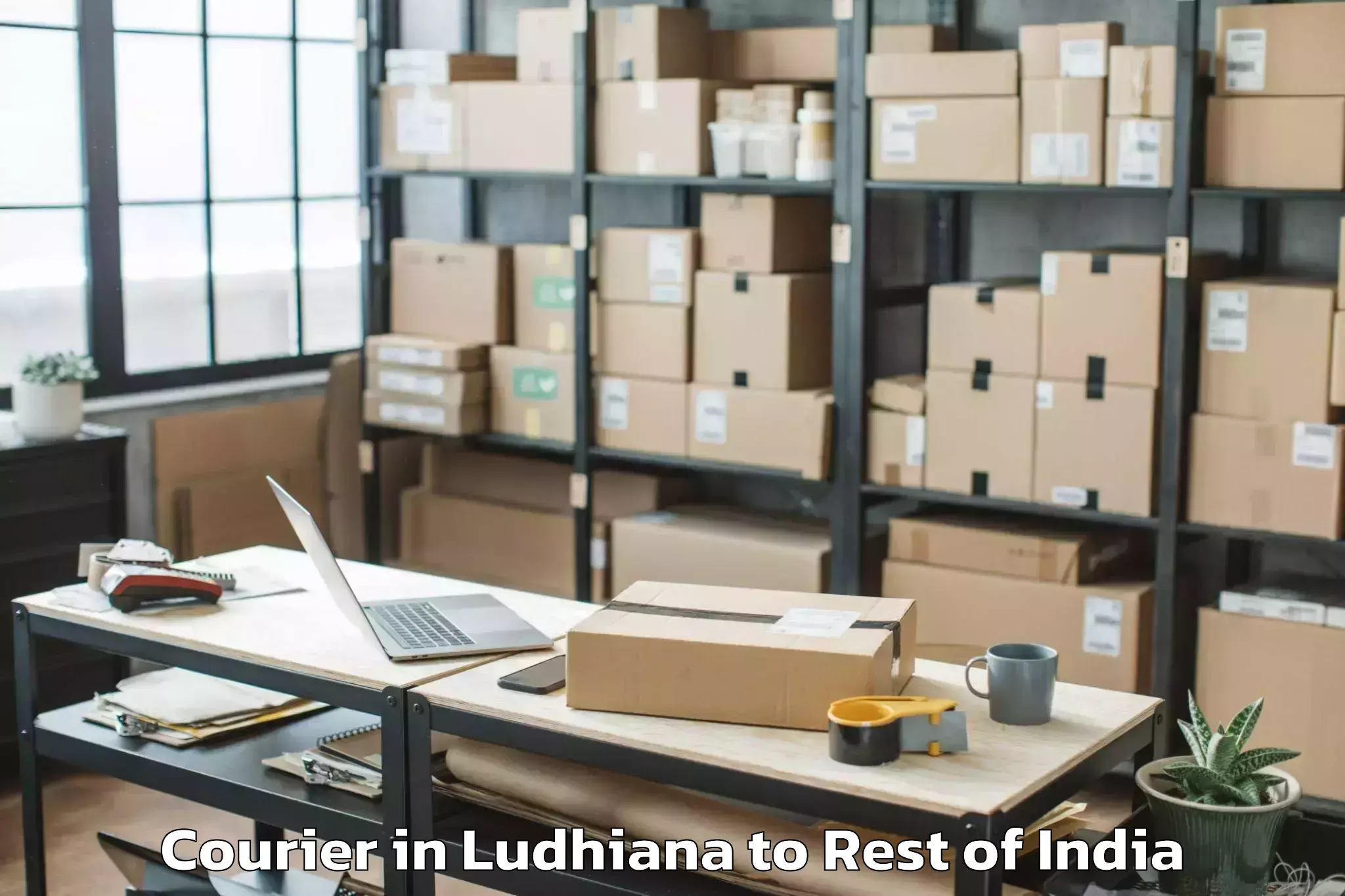 Reliable Ludhiana to Tuting Courier